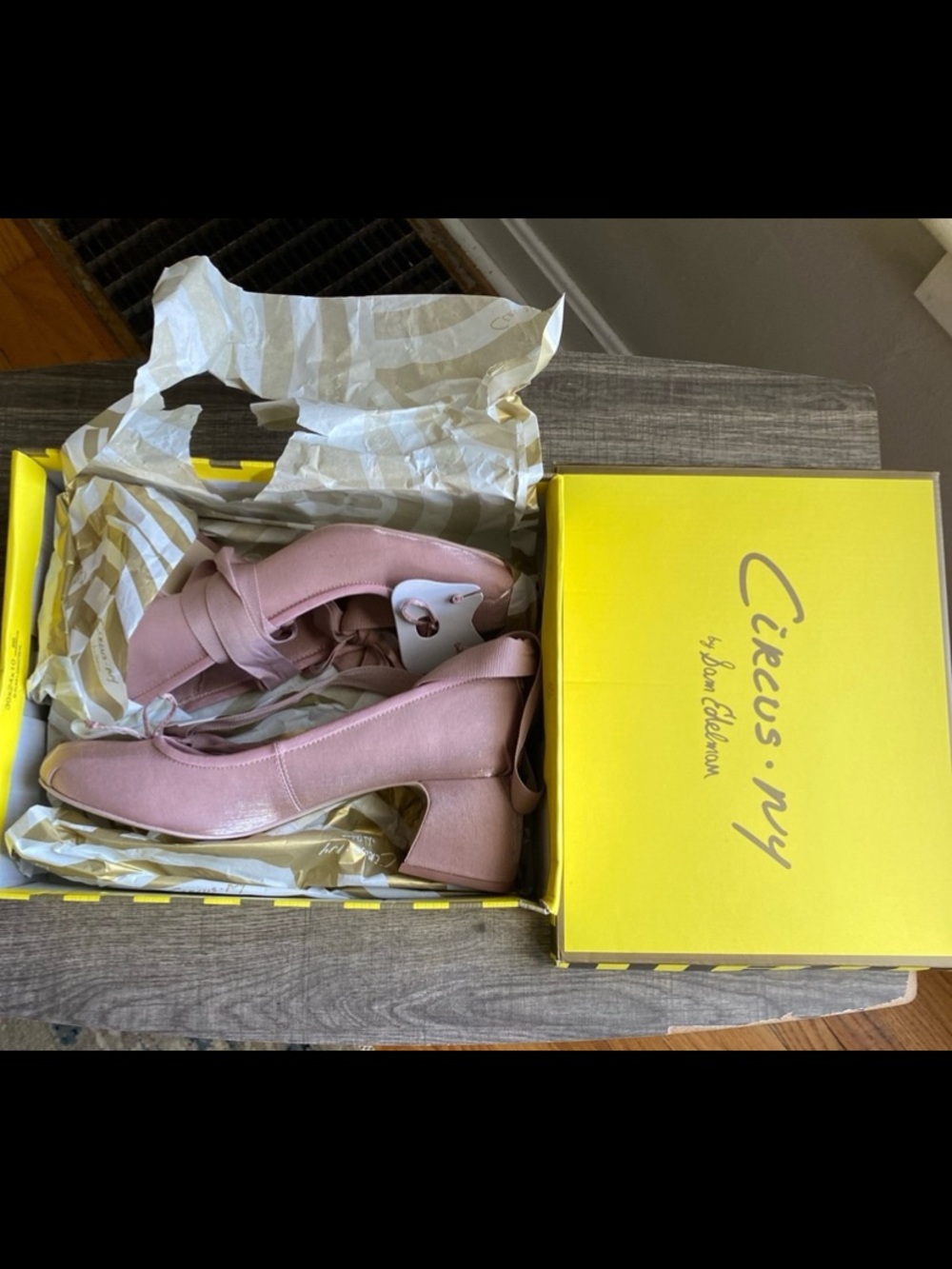 Circus NY by Sam Edelman Della Ballet Ankle Wrap Block Heel Shimmer Pumps